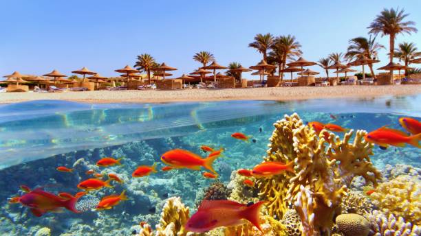 Sharm El Sheikh